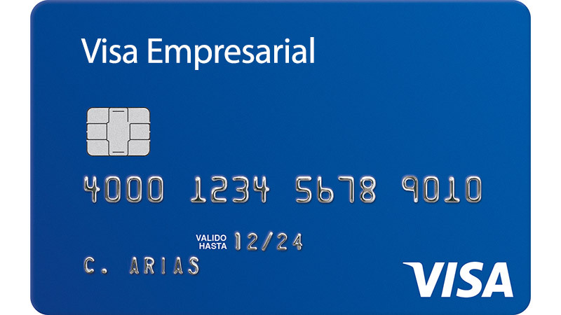 visa empresarial