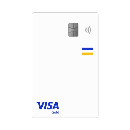Imagem exibe cartão Visa Gold