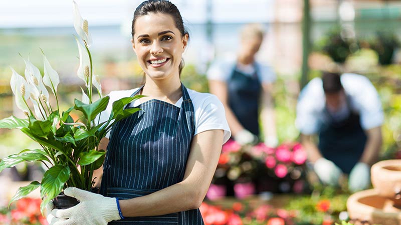 Mulher de avental e luvas segura um vaso com flores recém-colhidas no jardim