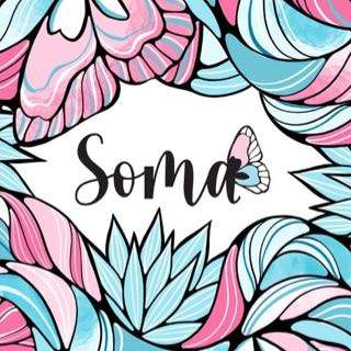 Programa Soma