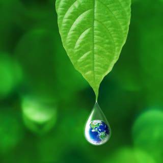 Gota de orvalho caindo de uma folha, contendo a imagem do planeta Terra