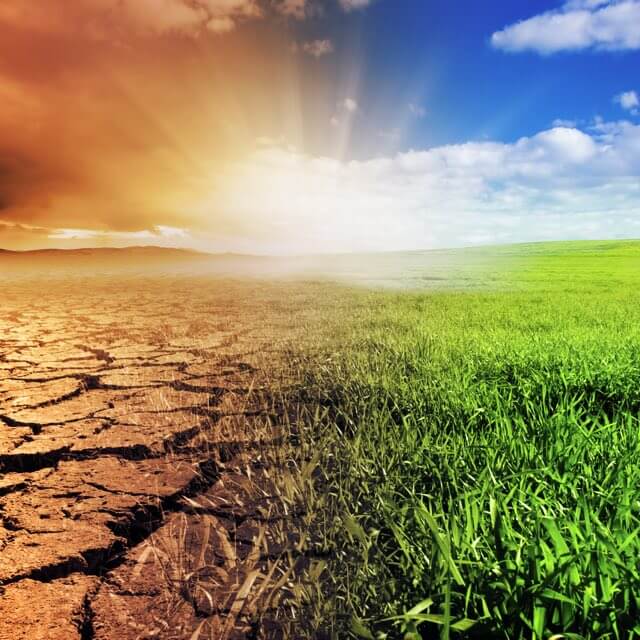 Imagem de uma paisagem devastada da metade para a esquerda e a outra direita uma paisagem natural preservada